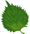 �V�\�̗t