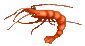 lobster