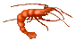 lobster