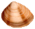 clam