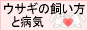 �E�T�M�̎������ƕa�C
